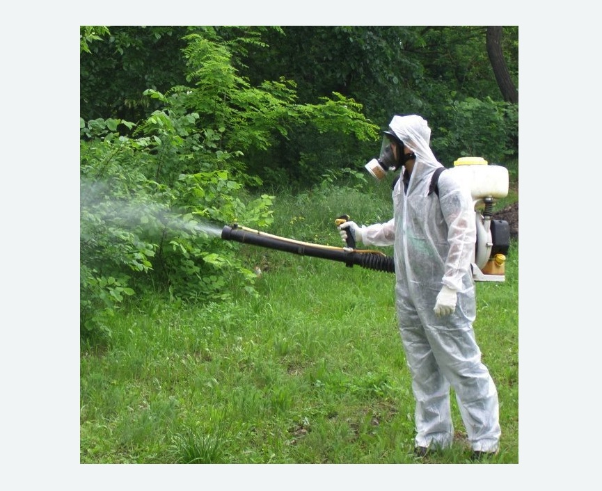 обработка территории от клещей в Пестово