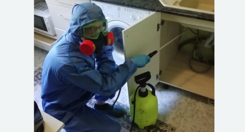 Уничтожение муравьев в квартире. Пестово