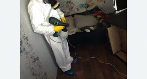 Обработка квартир от насекомых в Пестово