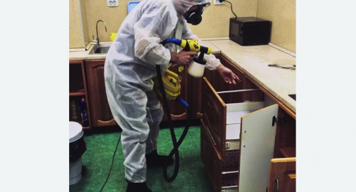 Дезинсекция квартиры. Пестово