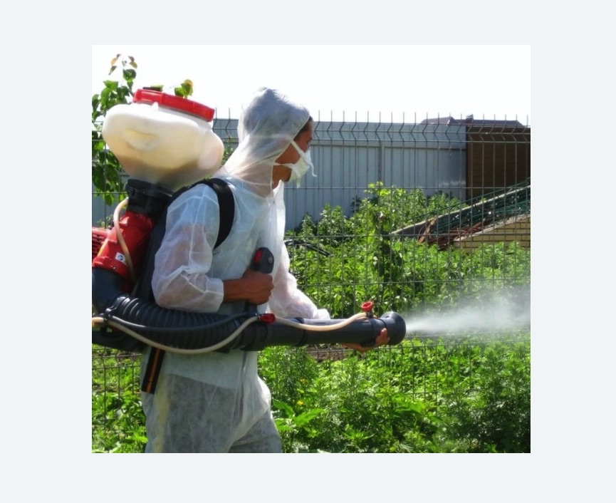 Акарицидная обработка территории в Пестово