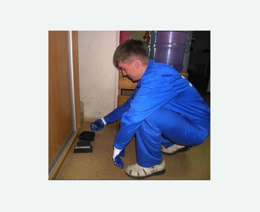 Дератизация крыс в Пестово