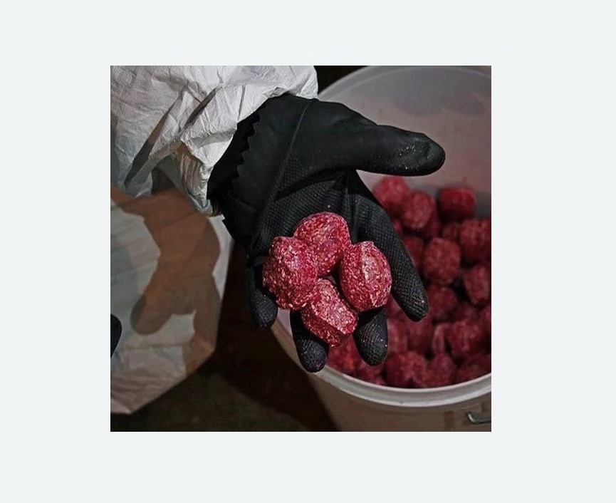 Обработка от крыс в Пестово