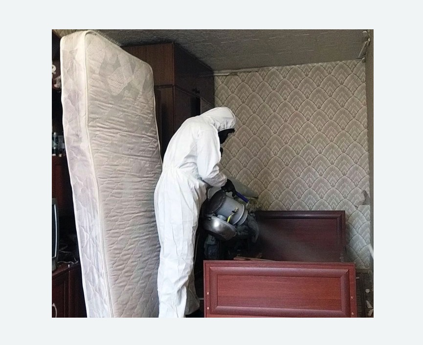 дезинфекция от клопов в Пестово