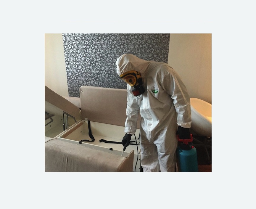 уничтожение клопов в квартире в Пестово