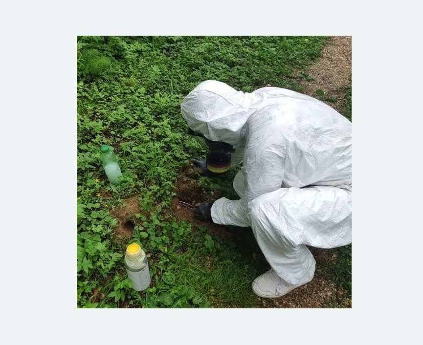 уничтожение кротов на участке в Пестово