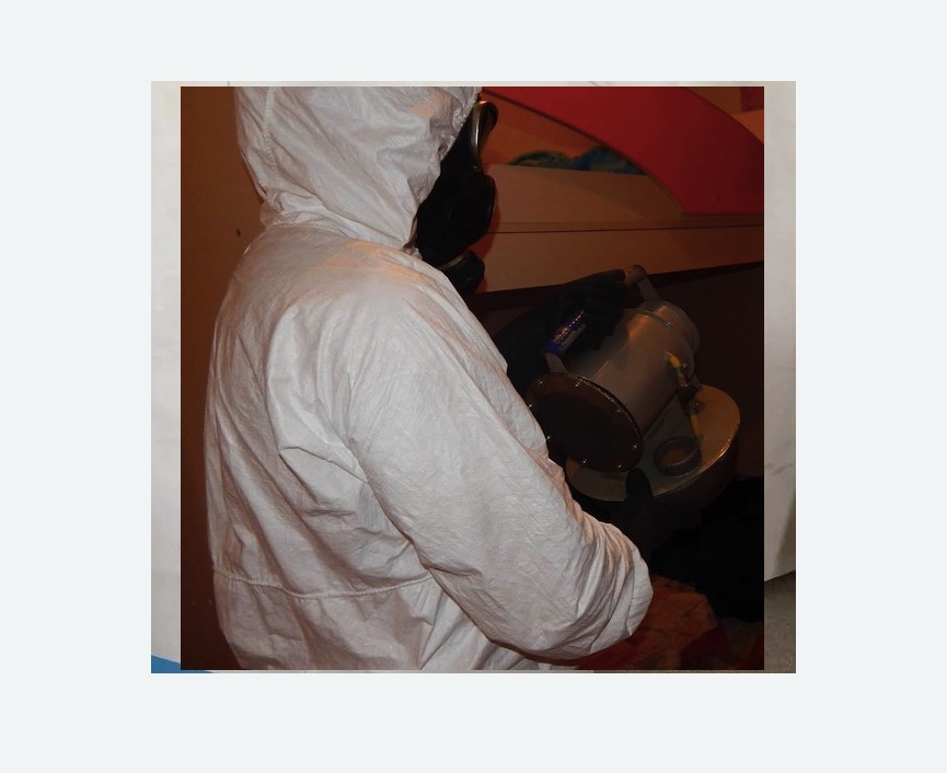 Дезинфекция от муравьев в Пестово